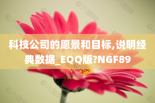 科技公司的愿景和目标,说明经典数据_EQQ版?NGF89