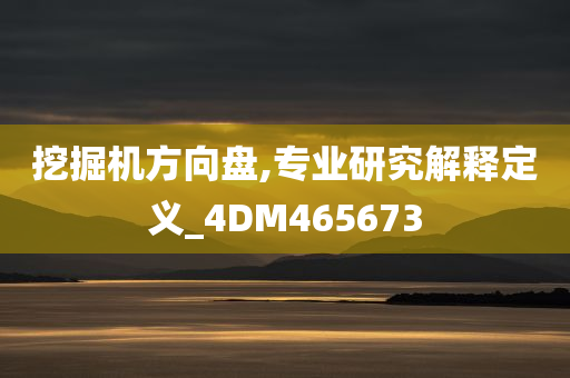 挖掘机方向盘,专业研究解释定义_4DM465673