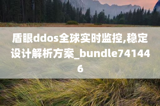 盾眼ddos全球实时监控,稳定设计解析方案_bundle741446