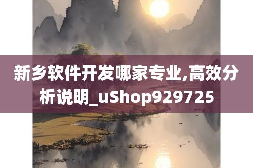 新乡软件开发哪家专业,高效分析说明_uShop929725