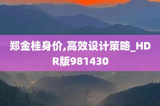 郑金桂身价,高效设计策略_HDR版981430