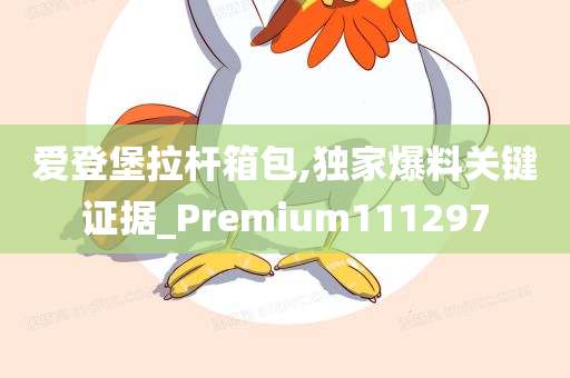 爱登堡拉杆箱包,独家爆料关键证据_Premium111297