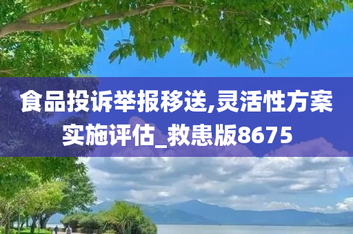 食品投诉举报移送,灵活性方案实施评估_救患版8675