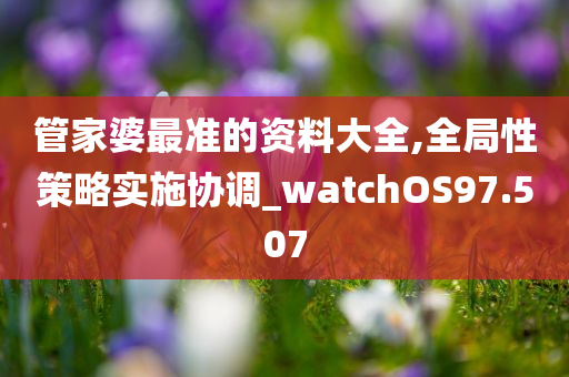 管家婆最准的资料大全,全局性策略实施协调_watchOS97.507