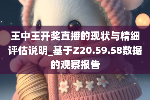 王中王开奖直播的现状与精细评估说明_基于Z20.59.58数据的观察报告