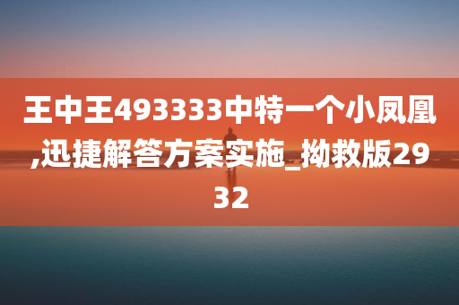 王中王493333中特一个小凤凰,迅捷解答方案实施_拗救版2932