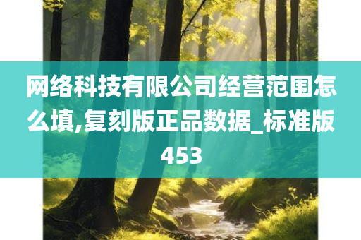 网络科技有限公司经营范围怎么填,复刻版正品数据_标准版453