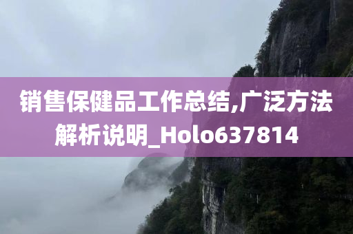 销售保健品工作总结,广泛方法解析说明_Holo637814