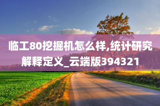 临工80挖掘机怎么样,统计研究解释定义_云端版394321