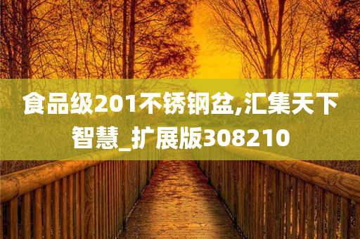 食品级201不锈钢盆,汇集天下智慧_扩展版308210