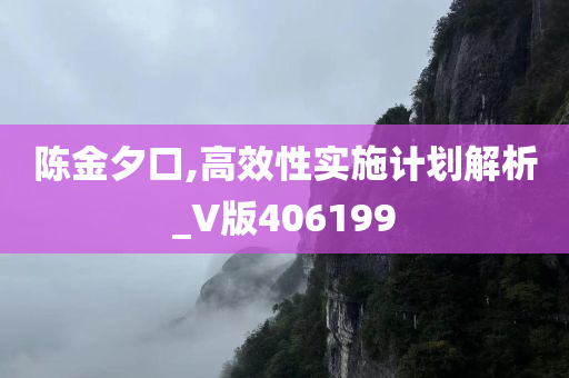 陈金夕口,高效性实施计划解析_V版406199