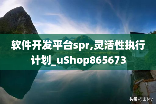 软件开发平台spr,灵活性执行计划_uShop865673