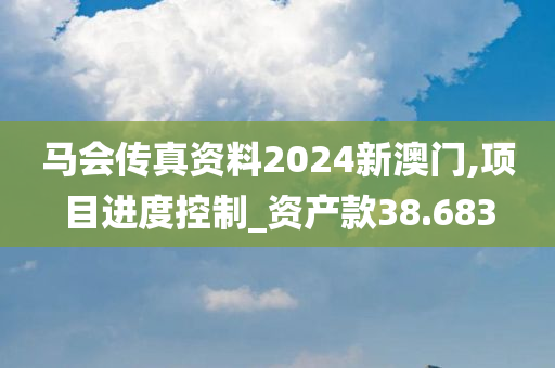 马会传真资料2024新澳门,项目进度控制_资产款38.683