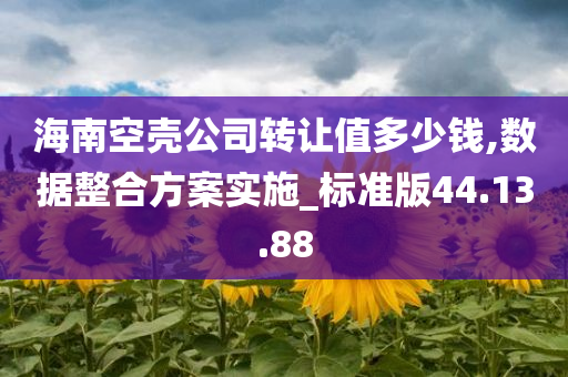 海南空壳公司转让值多少钱,数据整合方案实施_标准版44.13.88