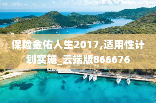 保险金佑人生2017,适用性计划实施_云端版866676