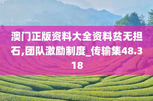 澳门正版资料大全资料贫无担石,团队激励制度_传输集48.318