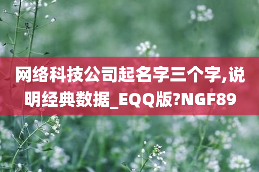 网络科技公司起名字三个字,说明经典数据_EQQ版?NGF89