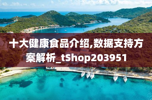 十大健康食品介绍,数据支持方案解析_tShop203951