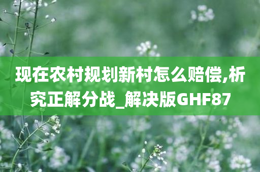 现在农村规划新村怎么赔偿,析究正解分战_解决版GHF87