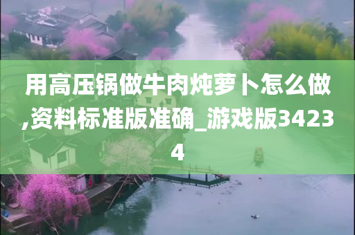 用高压锅做牛肉炖萝卜怎么做,资料标准版准确_游戏版34234