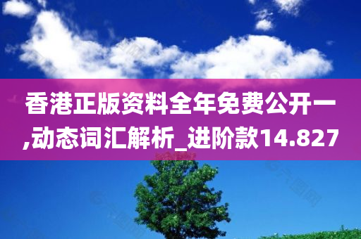 香港正版资料全年免费公开一,动态词汇解析_进阶款14.827