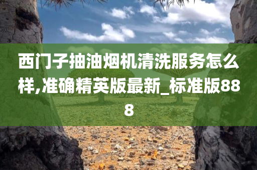 西门子抽油烟机清洗服务怎么样,准确精英版最新_标准版888