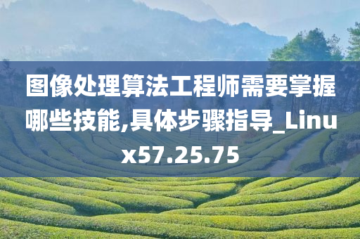 图像处理算法工程师需要掌握哪些技能,具体步骤指导_Linux57.25.75