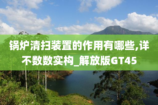 锅炉清扫装置的作用有哪些,详不数数实构_解放版GT45