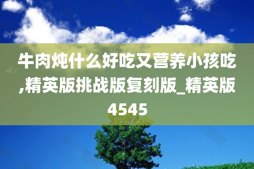 牛肉炖什么好吃又营养小孩吃,精英版挑战版复刻版_精英版4545