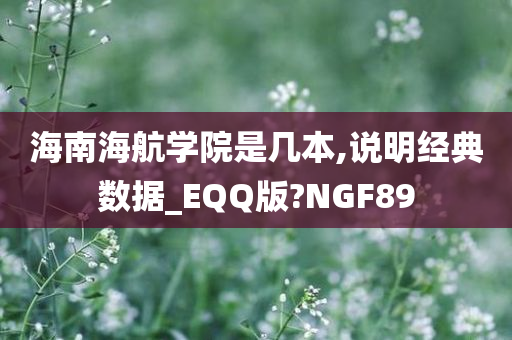 海南海航学院是几本,说明经典数据_EQQ版?NGF89