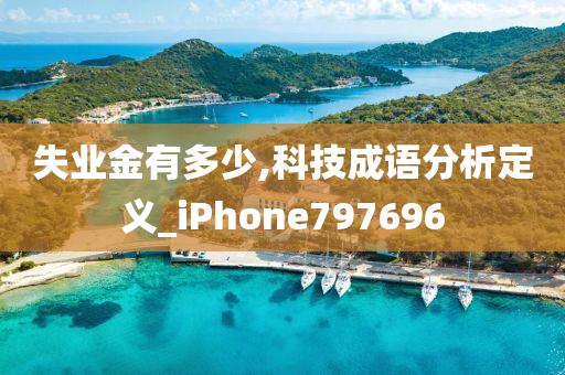 失业金有多少,科技成语分析定义_iPhone797696