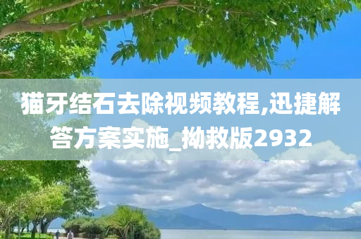 猫牙结石去除视频教程,迅捷解答方案实施_拗救版2932