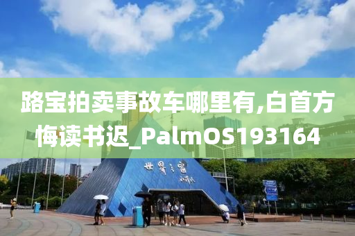 路宝拍卖事故车哪里有,白首方悔读书迟_PalmOS193164