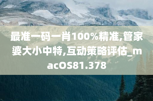 最准一码一肖100%精准,管家婆大小中特,互动策略评估_macOS81.378