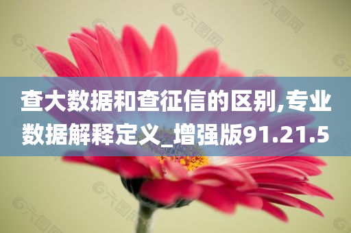 查大数据和查征信的区别,专业数据解释定义_增强版91.21.50