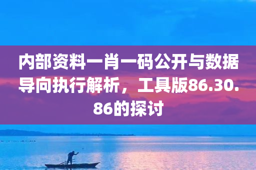 内部资料一肖一码公开与数据导向执行解析，工具版86.30.86的探讨