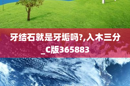 牙结石就是牙垢吗?,入木三分_C版365883