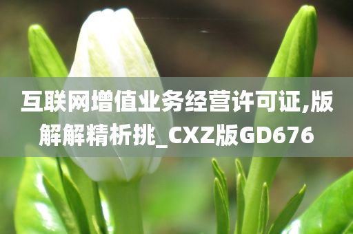 互联网增值业务经营许可证,版解解精析挑_CXZ版GD676