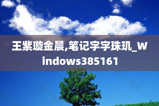 王紫璇金晨,笔记字字珠玑_Windows385161