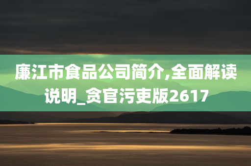 廉江市食品公司简介,全面解读说明_贪官污吏版2617