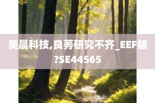 美晨科技,良莠研究不齐_EEF版?SE44565