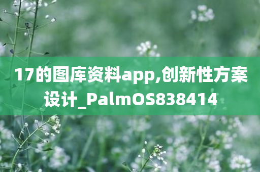 17的图库资料app,创新性方案设计_PalmOS838414