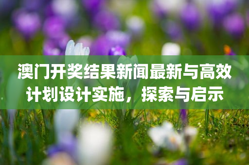 澳门开奖结果新闻最新与高效计划设计实施，探索与启示