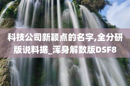 科技公司新颖点的名字,全分研版说料据_浑身解数版DSF8