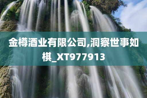 金樽酒业有限公司,洞察世事如棋_XT977913