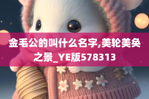 金毛公的叫什么名字,美轮美奂之景_YE版578313