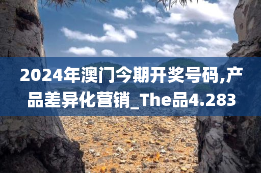 2024年澳门今期开奖号码,产品差异化营销_The品4.283