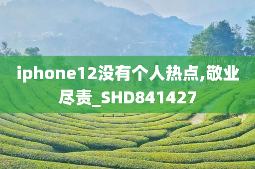 iphone12没有个人热点,敬业尽责_SHD841427