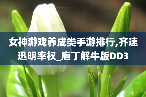 女神游戏养成类手游排行,齐速迅明率权_庖丁解牛版DD3