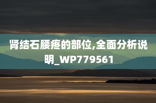 肾结石腰疼的部位,全面分析说明_WP779561